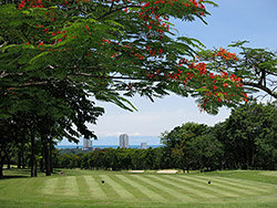 Phoenix Gold Gof & Country Club Pattaya redevelopment plans